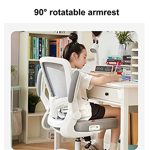 JHKGY Children Desk Chair,Adjustable Office Chair, Ergonomic Computer Desk Chair Mid Back Study Chair,with Comfort Lumbar Support And Auto Brake