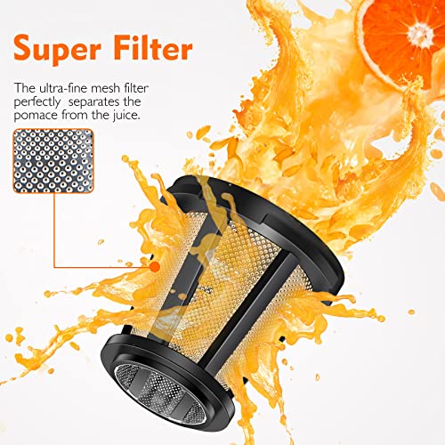 AMZCHEF Juicer Machines - Cold Press Slow Juicer - Masticating Juicer for Whole Fruits and Vegetables - Delicate Chew No Need to Filter - BPA Fre