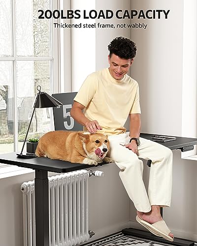 SIAGO Electric Standing Desk Adjustable - 48 x 24 Inch Sit Stand Desk with Cable Management - 3 Memory Preset Adjustable Height Stand up Computer
