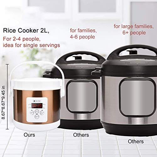 HOMCORT 2.0L Small Rice Cooker, 25 Minutes Fast Cooking with Keep Warm Function, 3 Cups for 2-4 People (Gold)
