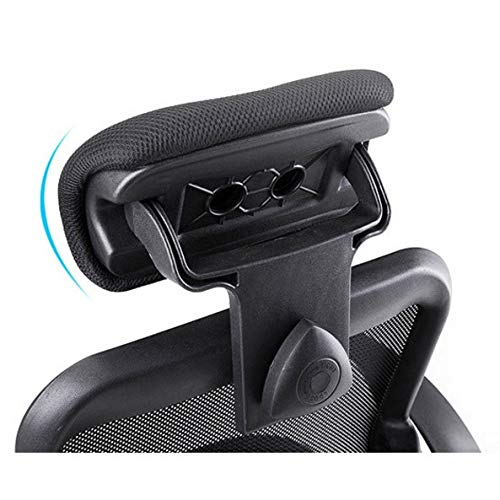 WALNUT Lifting Computer Chair Home Seat Office Chair Gaming Chair Office Chair Reclining Back (Color : C)