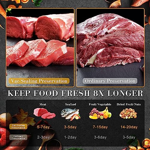 AMLGG Vacuum Sealer, Dry/Moist Vacuum Sealer Machine Automatic Air Sealing System for Sous Vide Cooking and Food Storage with 15 Vacuum Sealer Ba