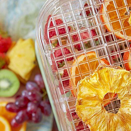 Andrew James Additional Trays for The Premium Digital Food Dehydrator - Increase Dehydrating Space - Easy to Clean