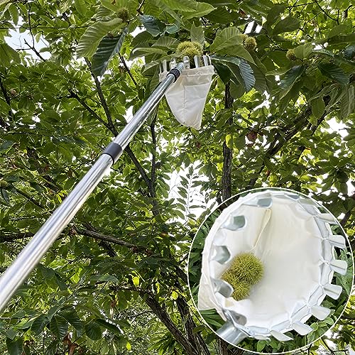 4.2M Apple Picker with Telescopic Handle, Fruit Picker, Fruit Picker Tool with Lightweight Stainless Steel Connecting Pole and Fabric Bag, Fruit